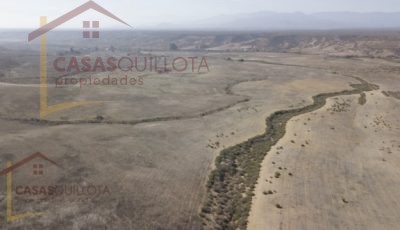 700 hectáreas de excelente terreno agrícola en Socos