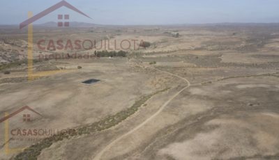 700 hectáreas de excelente terreno agrícola en Socos