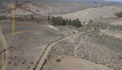 700 hectáreas de excelente terreno agrícola en Socos