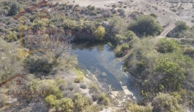 700 hectáreas de excelente terreno agrícola en Socos