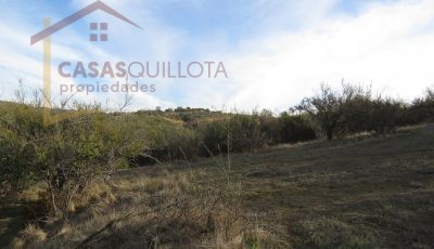 Parcela 7300 metros. Fundo Las Mellizas. Villa Alemana