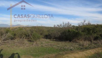 Parcela 7300 metros. Fundo Las Mellizas. Villa Alemana