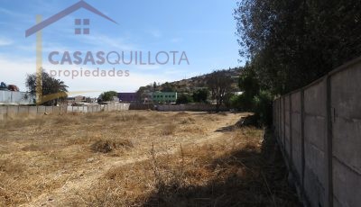 Terreno en pleno centro de Quillota